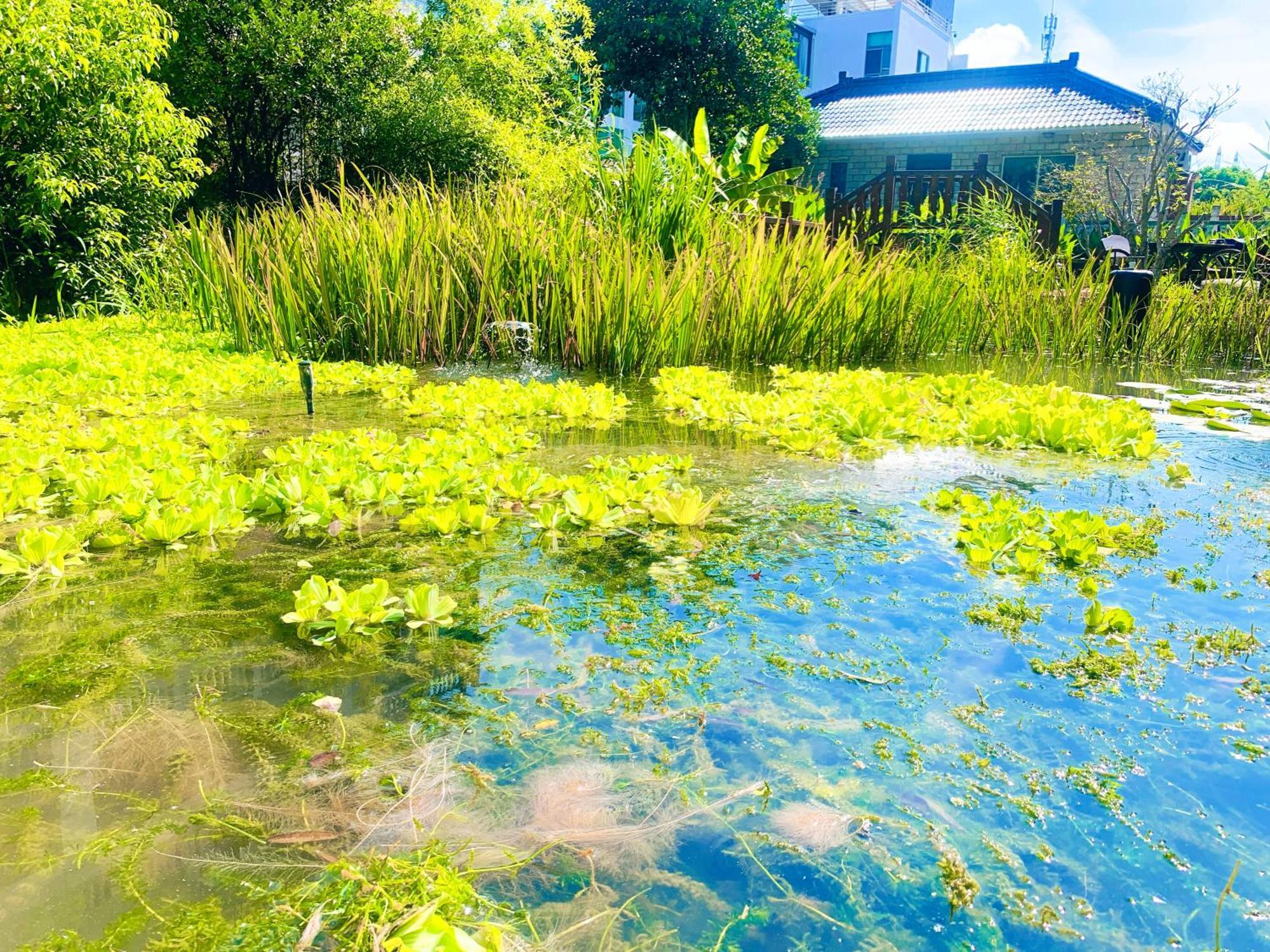 Shushe Hotel Shanghaj Zewnętrze zdjęcie